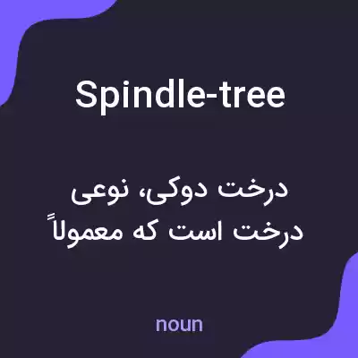 معنی spindle-tree به فارسی معنی spindle-tree به فارسی