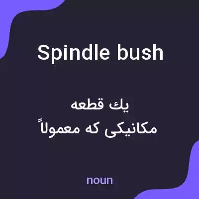 معنی spindle bush به فارسی معنی spindle bush به فارسی