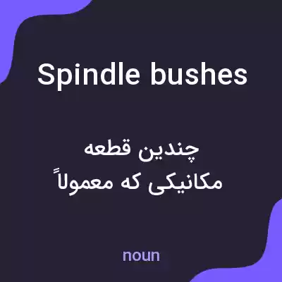 معنی spindle bushes به فارسی