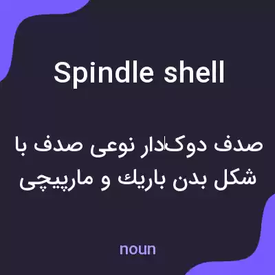 معنی spindle shell به فارسی معنی spindle shell به فارسی