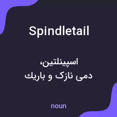 معنی spindletail به فارسی معنی spindletail به فارسی