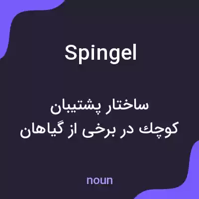 معنی spingel به فارسی معنی spingel به فارسی