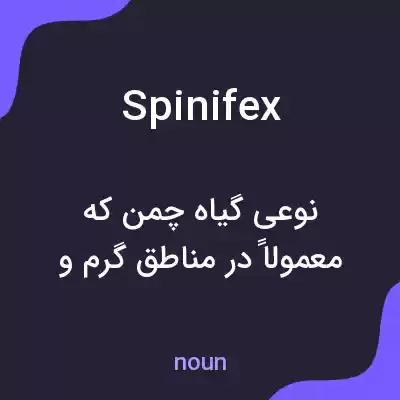 معنی spinifex به فارسی معنی spinifex به فارسی