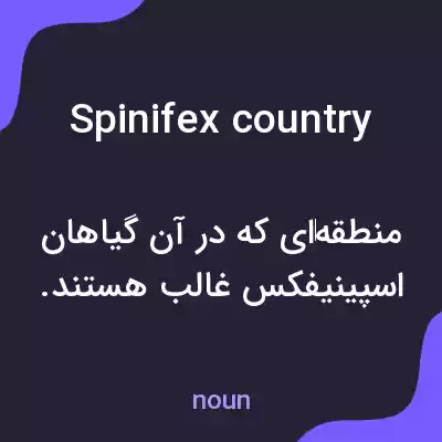 معنی spinifex country به فارسی معنی spinifex country به فارسی