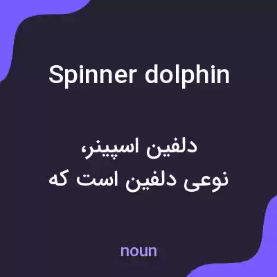 معنی spinner dolphin به فارسی معنی spinner dolphin به فارسی