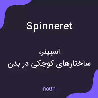 معنی spinneret به فارسی معنی spinneret به فارسی
