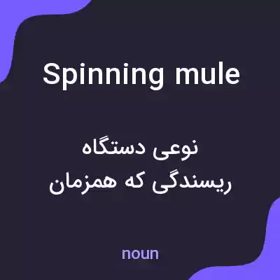 معنی spinning mule به فارسی معنی spinning mule به فارسی
