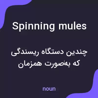معنی spinning mules به فارسی معنی spinning mules به فارسی