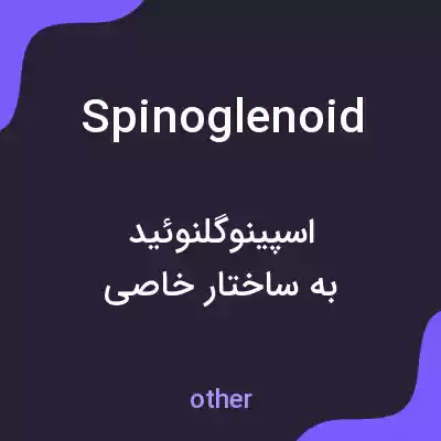 معنی spinoglenoid به فارسی معنی spinoglenoid به فارسی