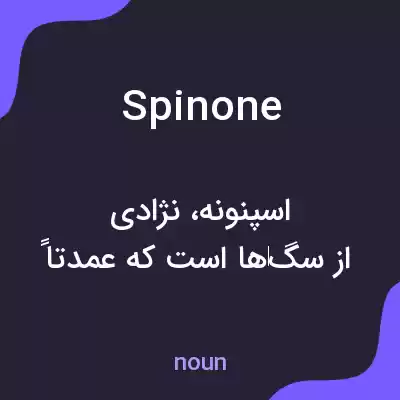 معنی spinone به فارسی معنی spinone به فارسی