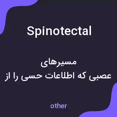 معنی spinotectal به فارسی معنی spinotectal به فارسی