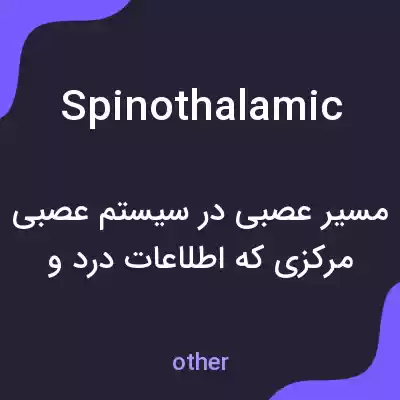 معنی spinothalamic به فارسی معنی spinothalamic به فارسی