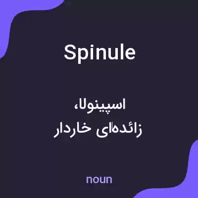 معنی spinule به فارسی معنی spinule به فارسی