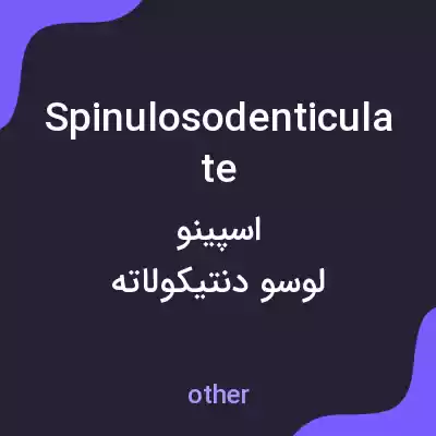معنی spinulosodenticulate به فارسی معنی spinulosodenticulate به فارسی