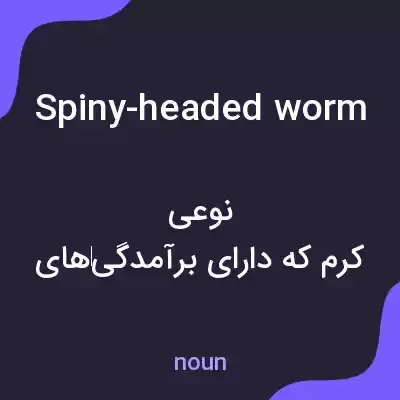 معنی spiny-headed worm به فارسی معنی spiny-headed worm به فارسی