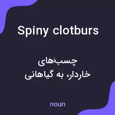 معنی spiny clotburs به فارسی معنی spiny clotburs به فارسی
