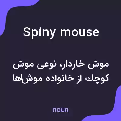 معنی spiny mouse به فارسی معنی spiny mouse به فارسی