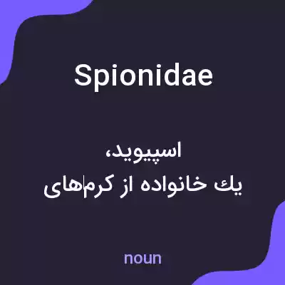 معنی spionidae به فارسی معنی spionidae به فارسی