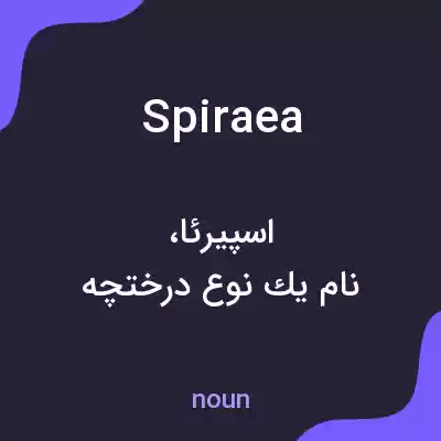 معنی spiraea به فارسی معنی spiraea به فارسی