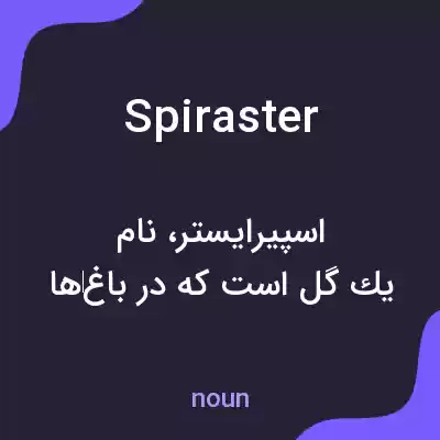 معنی spiraster به فارسی معنی spiraster به فارسی