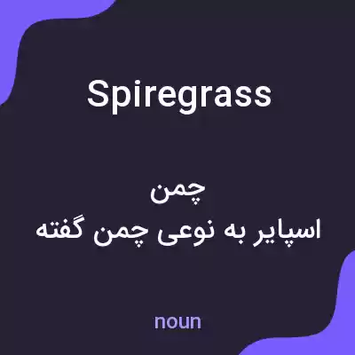 معنی spiregrass به فارسی معنی spiregrass به فارسی