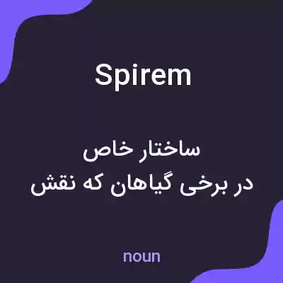 معنی spirem به فارسی معنی spirem به فارسی