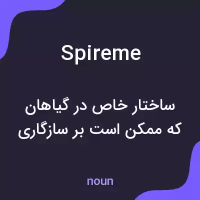 معنی spireme به فارسی معنی spireme به فارسی