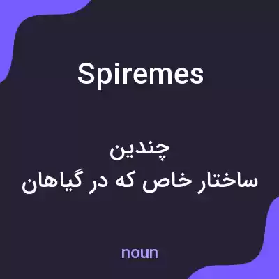 معنی spiremes به فارسی معنی spiremes به فارسی