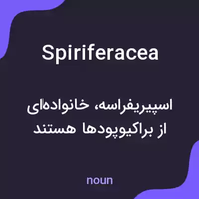 معنی spiriferacea به فارسی معنی spiriferacea به فارسی