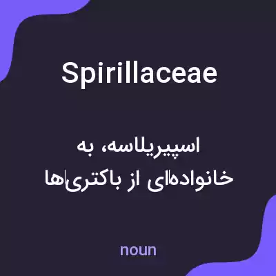 معنی spirillaceae به فارسی معنی spirillaceae به فارسی