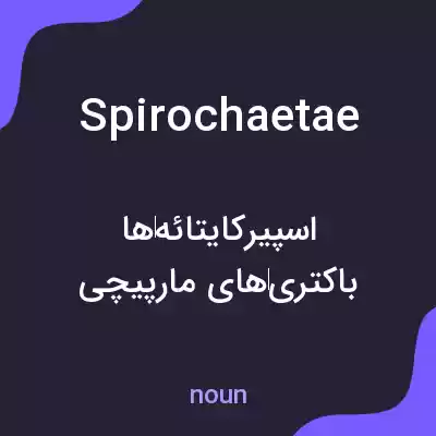 معنی spirochaetae به فارسی