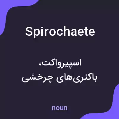 معنی spirochaete به فارسی