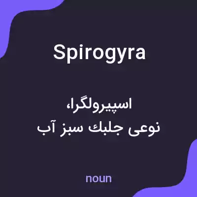 معنی spirogyra به فارسی معنی spirogyra به فارسی