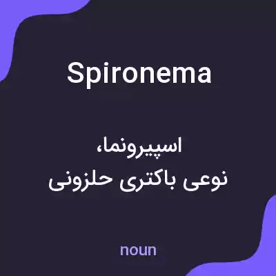 معنی spironema به فارسی