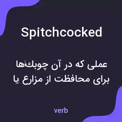 معنی spitchcocked به فارسی معنی spitchcocked به فارسی