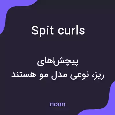 معنی spit curls به فارسی معنی spit curls به فارسی