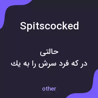 معنی spitscocked به فارسی معنی spitscocked به فارسی