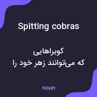 معنی spitting cobras به فارسی معنی spitting cobras به فارسی