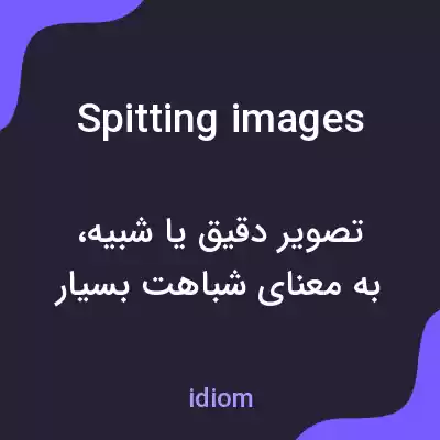 معنی spitting images به فارسی معنی spitting images به فارسی