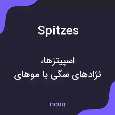 معنی spitzes به فارسی معنی spitzes به فارسی