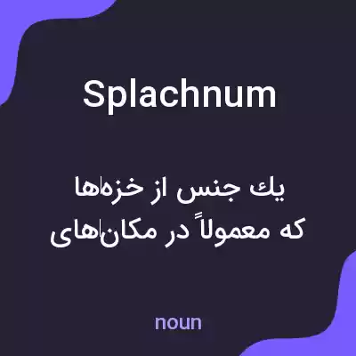 معنی splachnum به فارسی معنی splachnum به فارسی