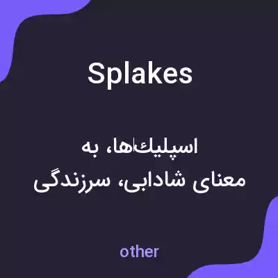 معنی splakes به فارسی