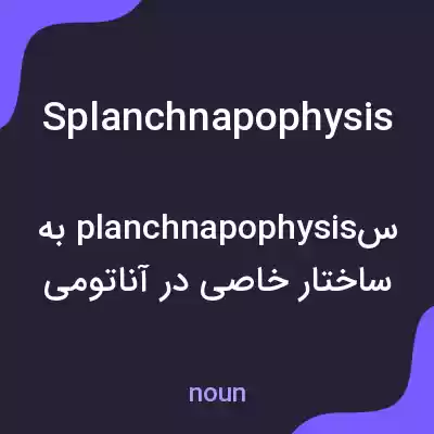 معنی splanchnapophysis به فارسی معنی splanchnapophysis به فارسی