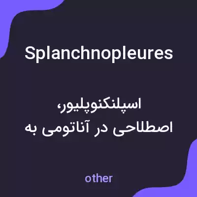 معنی splanchnopleures به فارسی معنی splanchnopleures به فارسی