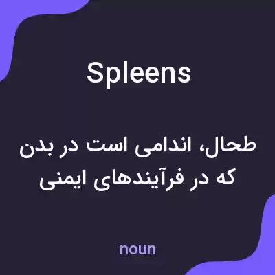 معنی spleens به فارسی معنی spleens به فارسی