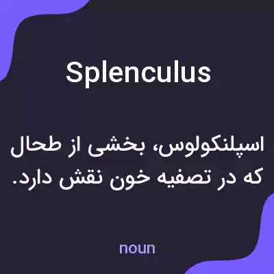 معنی splenculus به فارسی معنی splenculus به فارسی
