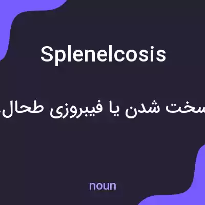 معنی splenelcosis به فارسی معنی splenelcosis به فارسی