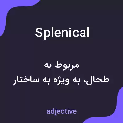 معنی splenical به فارسی معنی splenical به فارسی