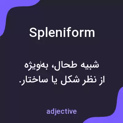 معنی spleniform به فارسی معنی spleniform به فارسی