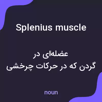 معنی splenius muscle به فارسی